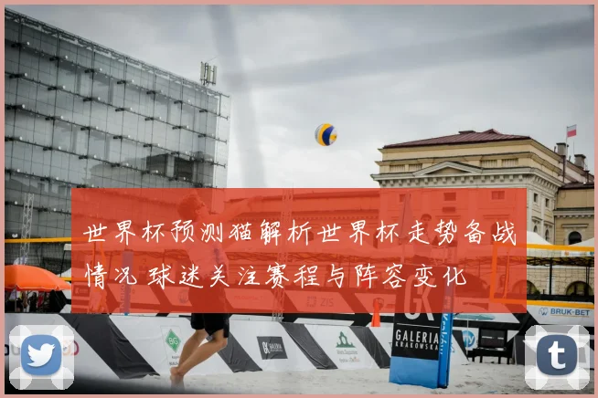 世界杯预测猫解析世界杯走势备战情况 球迷关注赛程与阵容变化