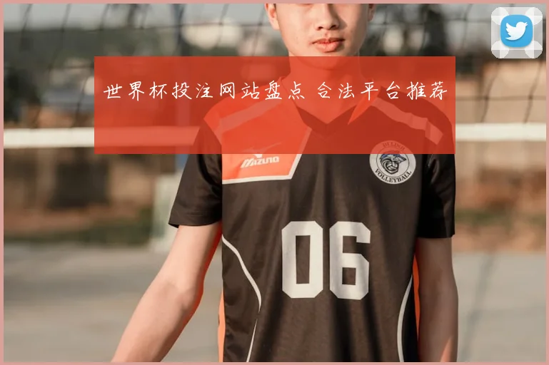 世界杯投注网站盘点 合法平台推荐